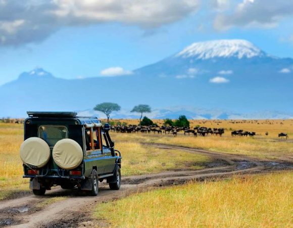 Amboseli National Park Day Trip