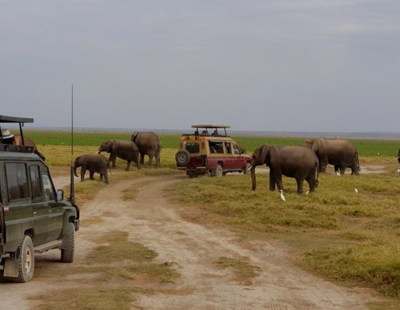 3 Days, 2 Nights Amboseli National Park Safari