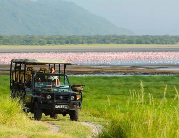3 Days Lake Manyara & Ngorongoro Safari