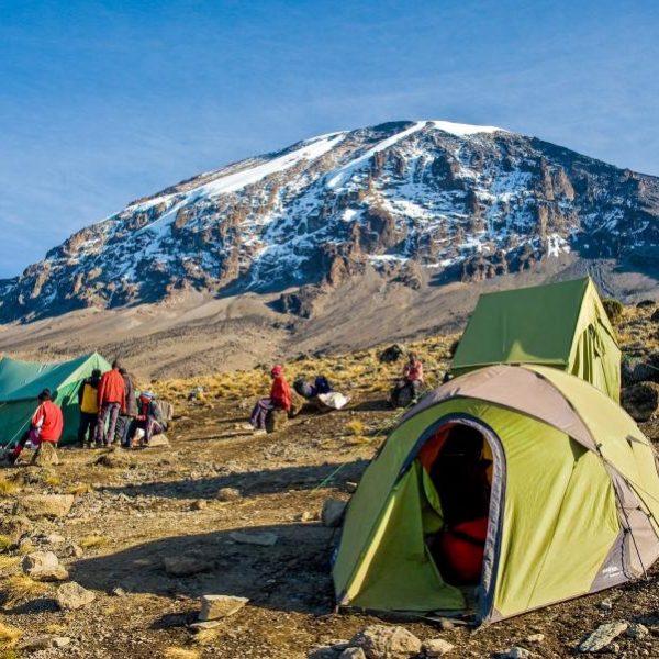 16 Days Kenya, Tanzania Safari & Mt. Kilimanjaro Climbing