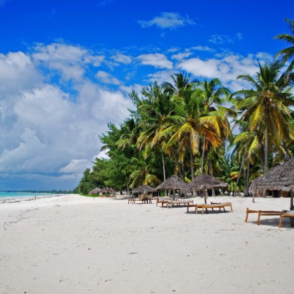 15 Days Kenya, Tanzania Wildlife Safari & Zanzibar Beach